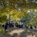 태안행정사 이미지