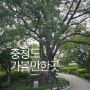 온양청국장집 | 온양청국장집 포함 충청도 실내 가볼만한곳