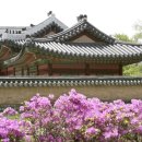 삼천궁녀 - 칠곡군 북중리2길 40 | 삼천궁녀