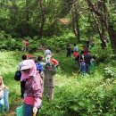 산채으뜸마을 이미지