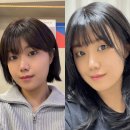 에이지소프트 | 단발에서 긴머리로 분위기 전환｜핑크에이지 소프트울프컷 이치카 내추럴 블랙 통가발 후기