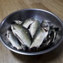동창천 티스토리