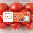 토마토애드