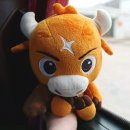 봄나드리투어 이미지