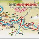 선암골생태유람길 Daum카페