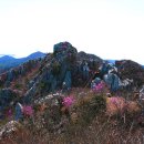 작은산대 이미지