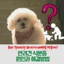송산유치원 이미지