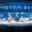 아쿠아플라넷 주식회사 - 8001 | 아쿠아플라넷 주식회사