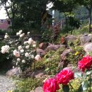 노고지리펜션 이미지