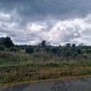 고원농장 이미지