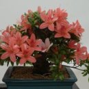 배려가 아름다운 사람 이미지