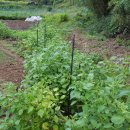 부춘농장 이미지