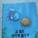 면목5동주민센터 티스토리