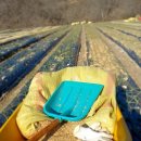 군산왕겨 이미지