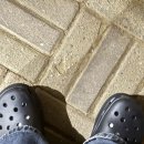 OK 게임아시아 | ONE OK ROCK DETOX ASIA TOUR