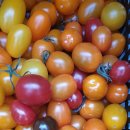 용진2농장 이미지