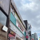 나투라에스테 이미지