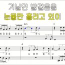 이차선 다리- 차태현 Dm 이미지