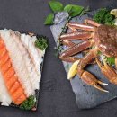 주식회사 드림바이오 이미지