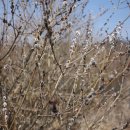 해마루농장 이미지