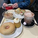 다우비 | [20240304/마운트쿡] 테카포 셔틀 투어 후기