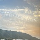 덴 바스타 이미지