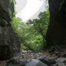 얼음골 봄 이미지