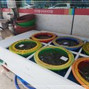 윤희네뻘낙지전문점 이미지