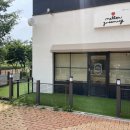 멜로우 그루밍 이미지