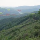 쑥고개길 이미지