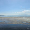 바나바교역 이미지