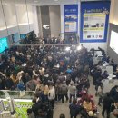 엘리체