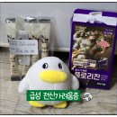플로리진 | 급성 전신 가려움증 셀프 완치 후기 feat 항히스타민제 황련해독탕