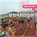 보성공설운동장 | 2026 보성녹차마라톤 후기(화장실 최악), 마라톤 사진 조회