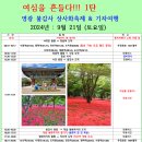 여심을 흔들다!!! 1탄 영광 불갑사 상사화축제 & 기차여행 이미지