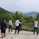 병수네농장 이미지