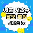 서울 서초구 탈모 전문 병원 두피 탈모관리 잘하는 곳 추천 List