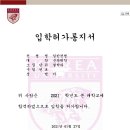고려대학교 합격신화!