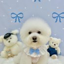 아멍띠에 이미지