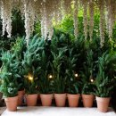 정원하우스 | 광주 줄리의정원/어뮤즈 하우스 촬영후기 [메리미 시아플]