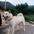 와동농장 이미지