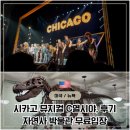 뮤지컬 <시카고> | 🇺🇸 뉴욕 브로드웨이 뮤지컬 [시카고] C열 시야,후기 &amp; 자연사박물관 무료입장