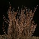 부활미용실 이미지