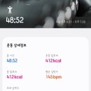 멍꿀개꿀 | 2년만에 다시 돌아온 블로그 feat. 스위치온 다이어트 / 1일~3일 쉐이크데이 후기