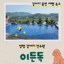이든독 | 양평 애견 숙소 이든독! 수영도 하고 훈련도 받아요~