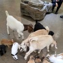 가정프라자 건너편 | [17개월] 가정보육 17개월아기랑 인천 실내 동물원 쥬벅스 방문 내돈내산 후기