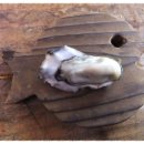 남해우리집 이미지