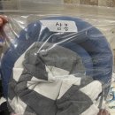 일동동물병원 이미지