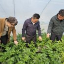 광활농업협동조합 이미지