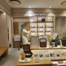 롯데평촌바라기한약국 네이버블로그